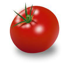 Файл:Tomato.png — Вікіпедія