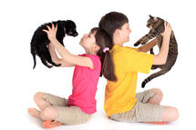 Top 6 Best Pets for Families - Delavan Lakes Veterinary Clinic