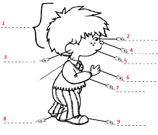0201hbr5-7b97-647x554.png