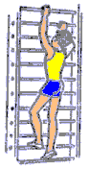 0201hdvl-cec9-93x176.png