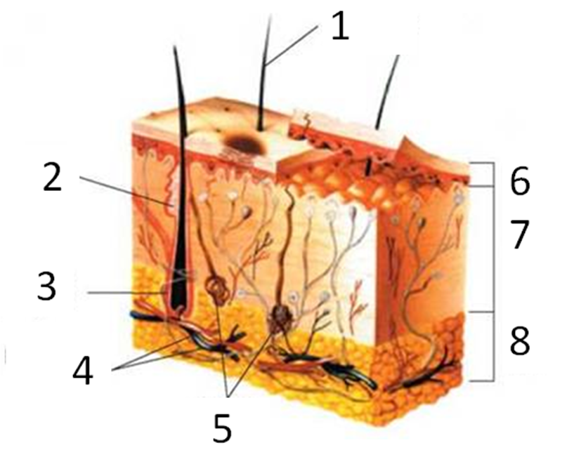 0201hfay-a569-817x651.png
