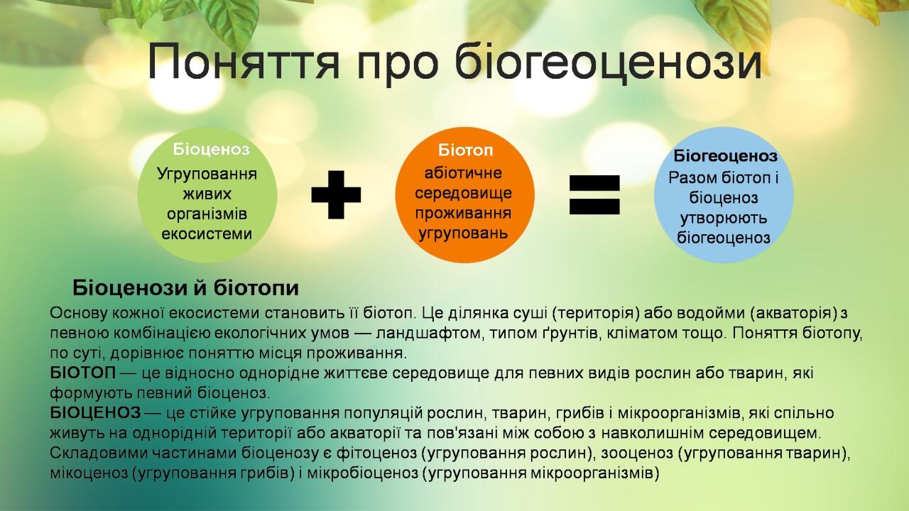 BASIC LAYOUT