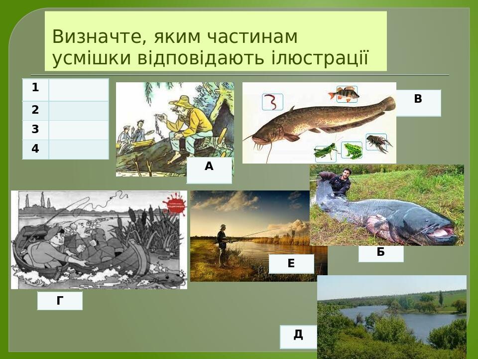 Визначте, яким частинам усмішки відповідають ілюстрації 1 2 3 4 А В Г Б Д Е