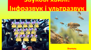 «Звукові хвилі. Інфразвук і ультразвук»