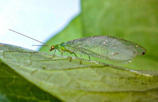 0201hj6m-edbb-320x208.jpg