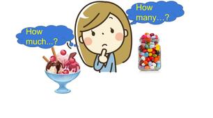 (Копія) Food. How much...? How many...? Some, any, a lot of, a, an