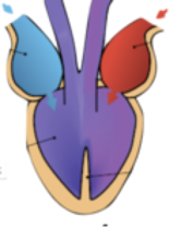 0201hkih-4486-166x208.png