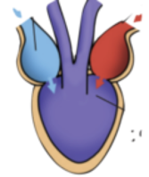 0201hkip-3aee-167x199.png