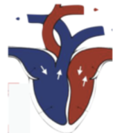 0201hkit-fdcb-163x191.png