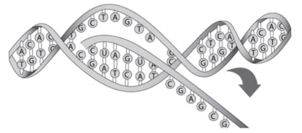 0201hlyd-9514-302x133.png