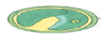 0201hmmd-fb43-162x56.png