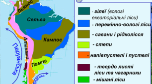 Природні зони та екологічні проблеми Південної Америки 
