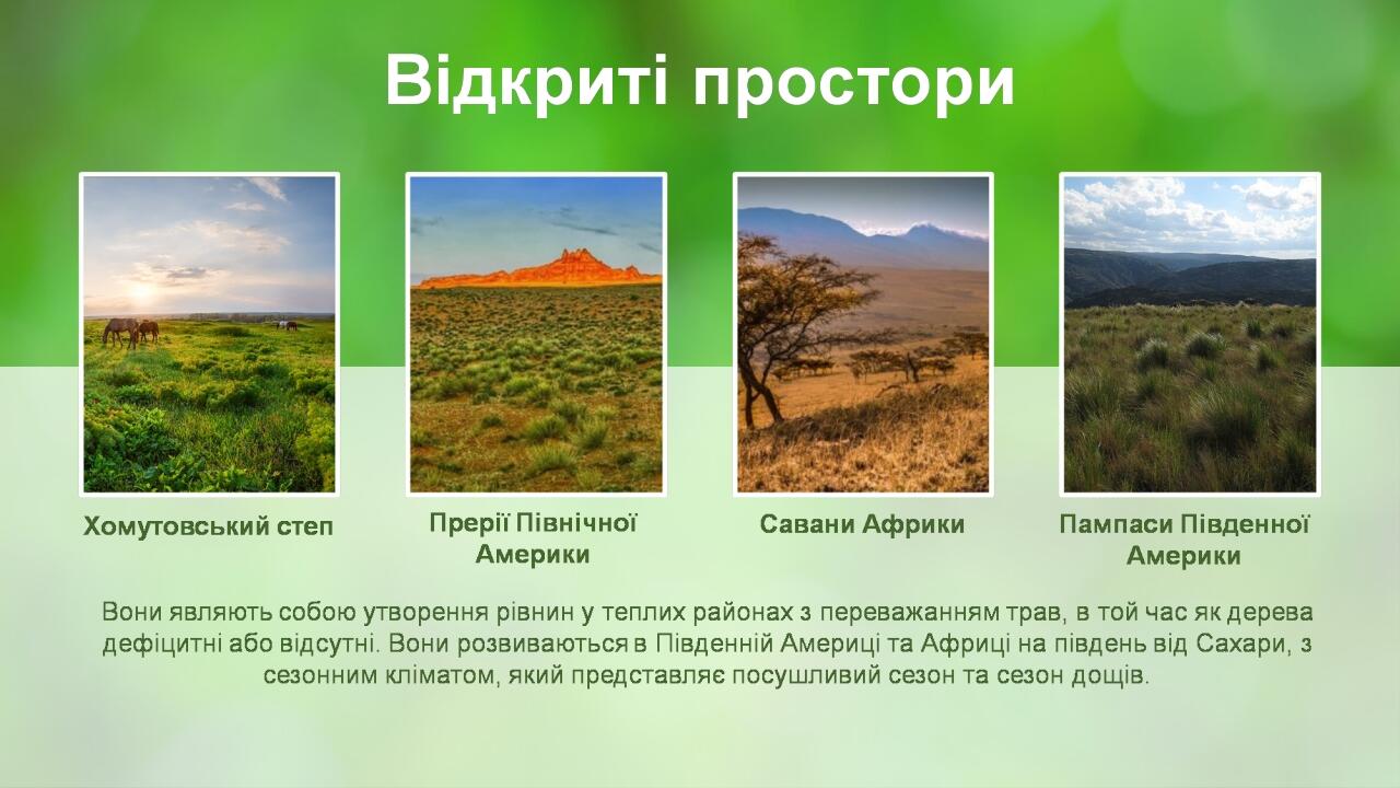 Place Your Picture Here Place Your Picture Here Place Your Picture Here Place Your Picture Here BASIC LAYOUT