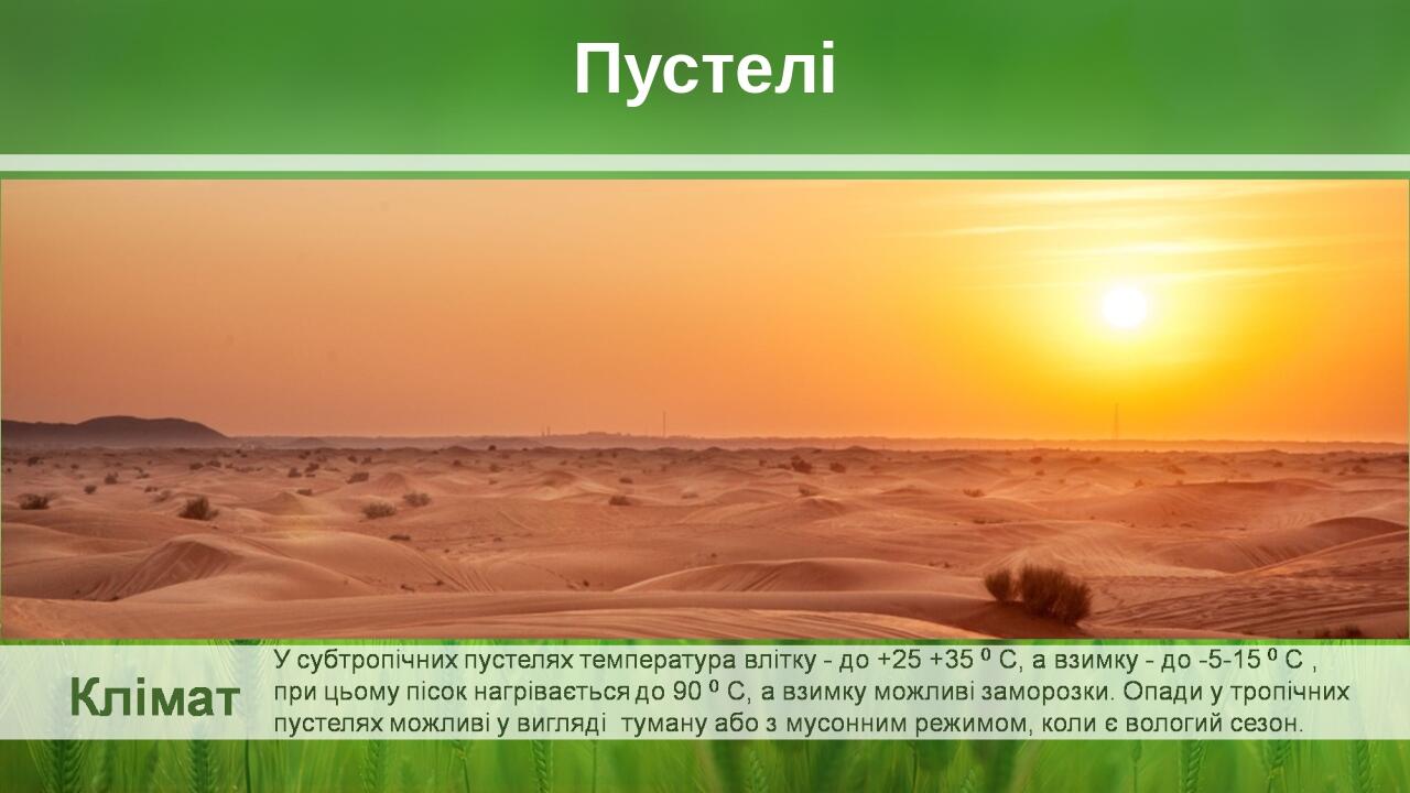 Пустелі BASIC LAYOUT Place Your Picture Here