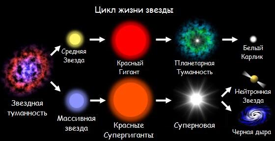 Цикл жизни звёзды