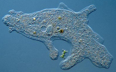0201hvcf-608e-390x242.png