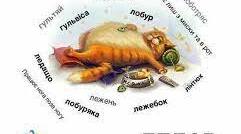 Ледарка Гурі