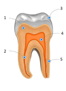 0201hxga-e810-575x797.png