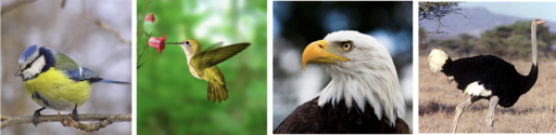 0201hyhc-dc61-512x125.png