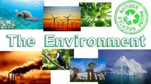 The Environment. Materials and Containers.