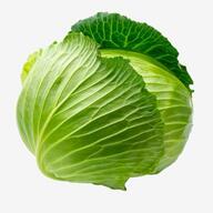 A Cabbage, Vegetables, Cabbage, Green PNG Transparent Image and Clipart for Free Download | Cabbage, Green cabbage, Vegetables