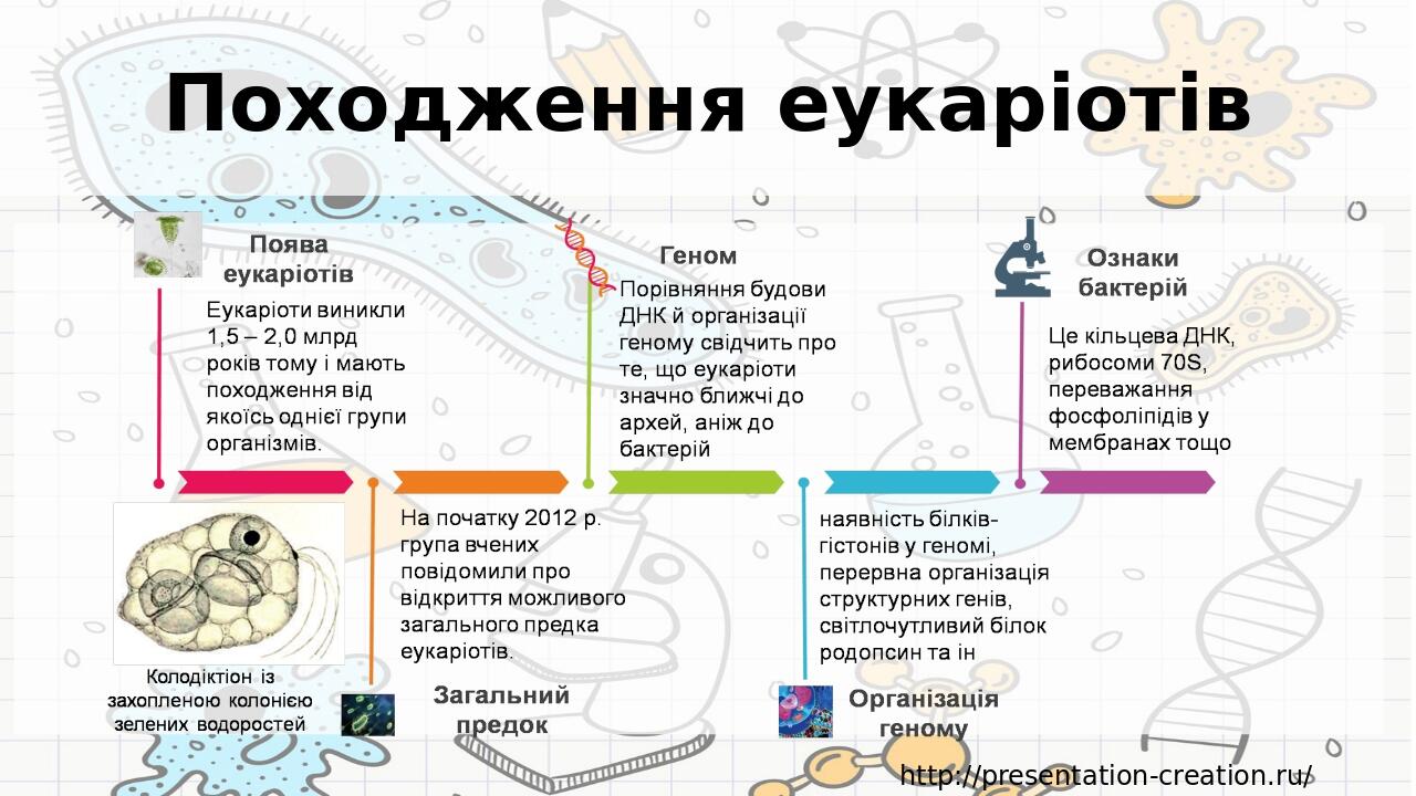 Походження еукаріотів http://presentation-creation.ru/