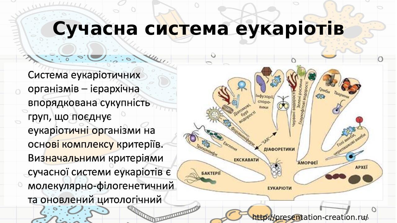 Сучасна система еукаріотів http://presentation-creation.ru/