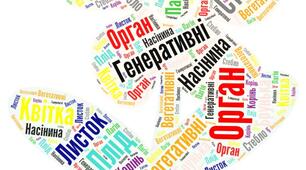 Створення хмар слів та їх використання на уроках біології