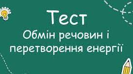 Обмін речовин і перетворення енергії