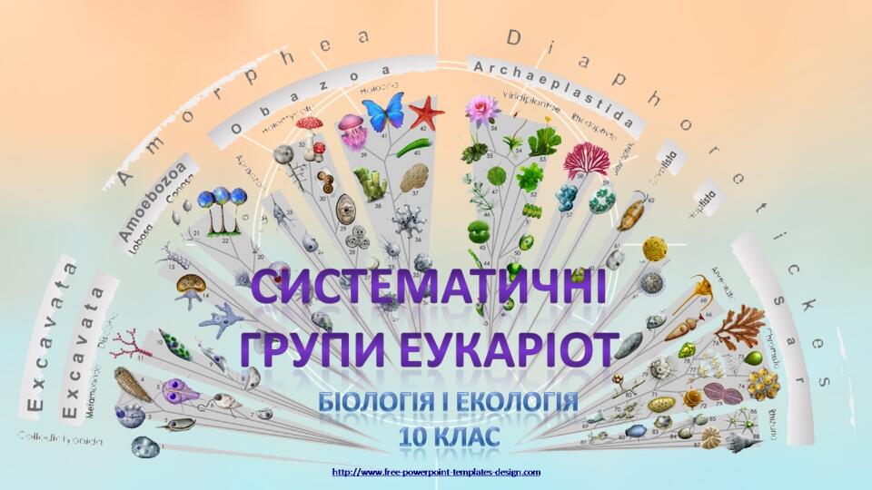 FREE PPT TEMPLATES INSTERT THE TITLE OF YOUR PRESENTATION HERE