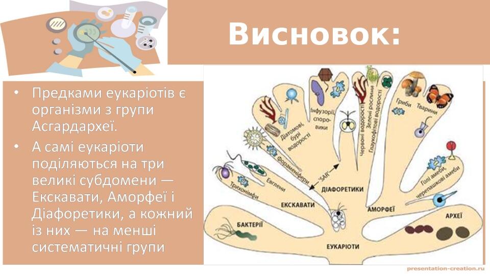 Висновок: