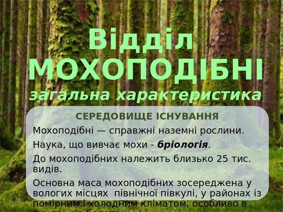 Відділ МОХОПОДІБНІ загальна характеристика СЕРЕДОВИЩЕ ІСНУВАННЯ Мохоподібні — справжні наземні рослини. Наука, що вивчає мохи - бріологія. До мохоп...