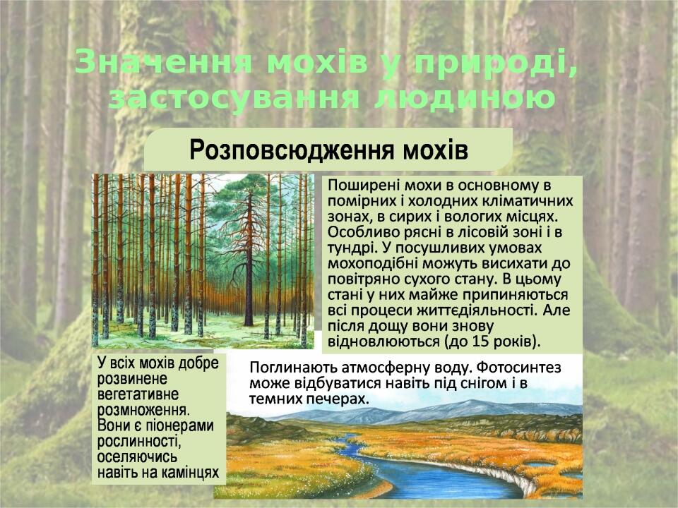 Значення мохів у природі, застосування людиною