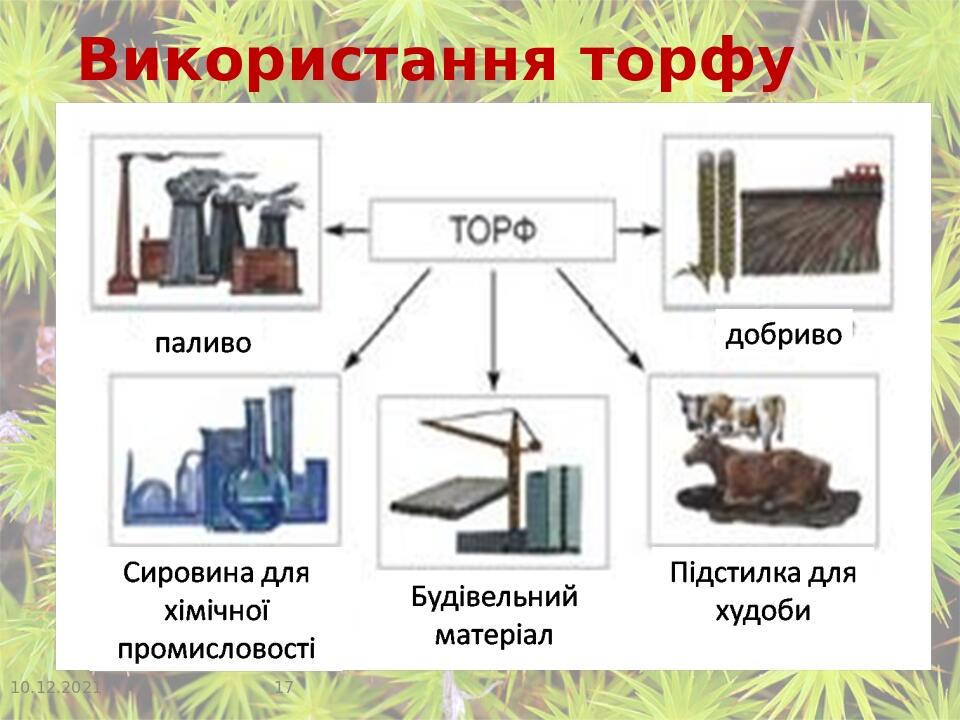 Використання торфу
