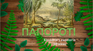 Презентація "Папороті" біологія і екологія