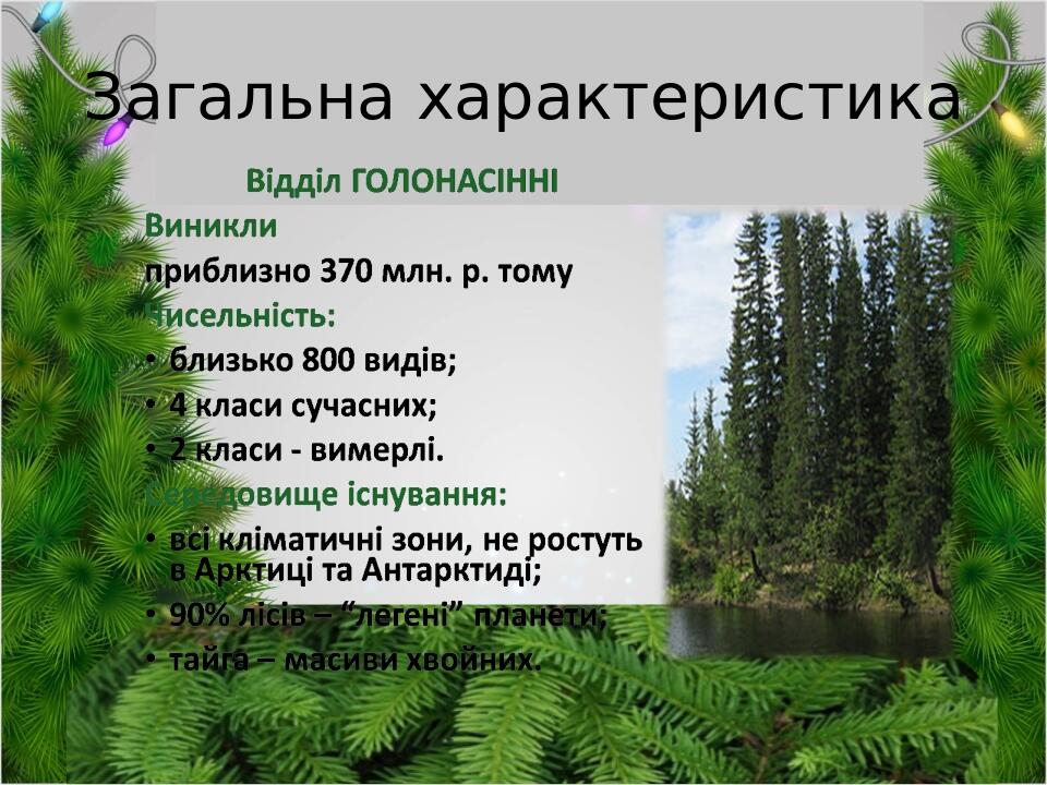 Загальна характеристика