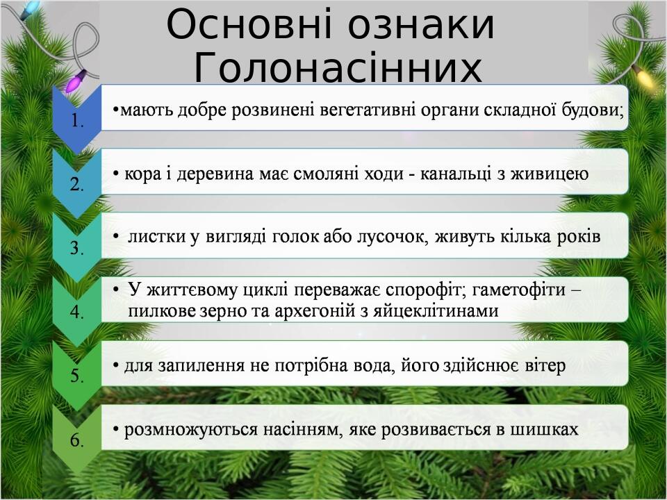 Основні ознаки Голонасінних