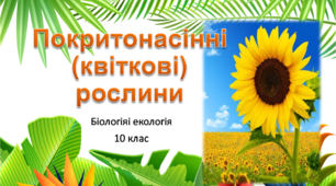 Презентація "Покритонасінні рослини. Загальна характеристика"
