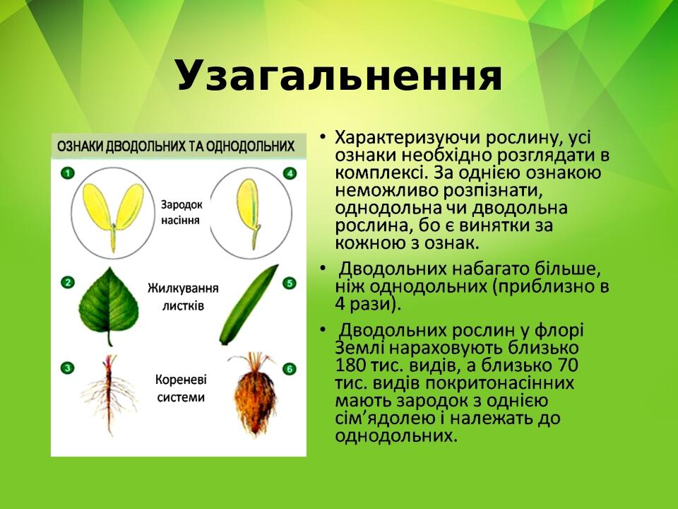 Узагальнення