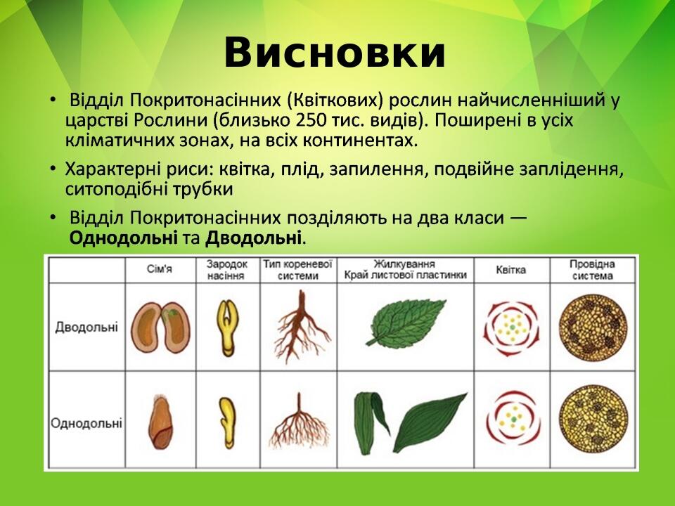 Висновки
