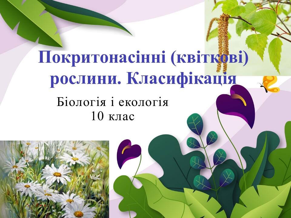 Біологія і екологія 10 клас Покритонасінні (квіткові) рослини. Класифікація