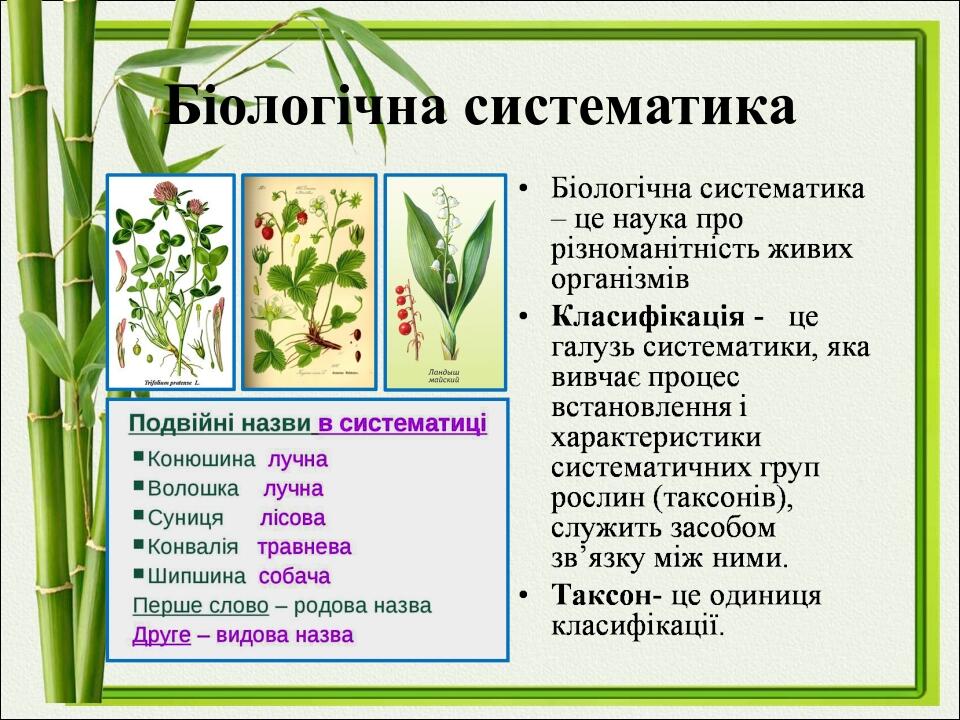 Біологічна систематика