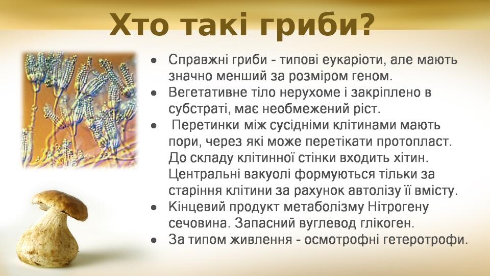Хто такі гриби?