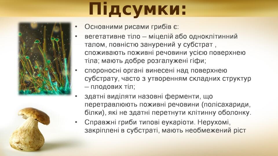 Підсумки: