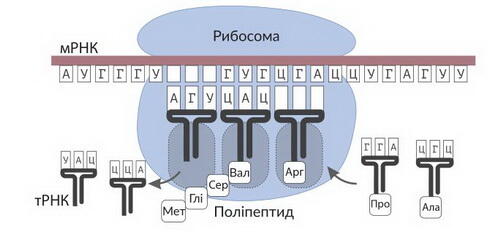 527732_1575831227.jpg