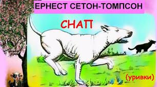 (Копія) Зарубіжна література. 5 клас. Е. Сетон-Томпсон "Снап"