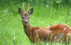 0201ip88-9643-280x180.jpg