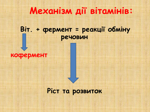 0201iprl-68d8-480x360.png