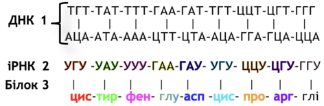 0201iwlt-35b4-504x166.png