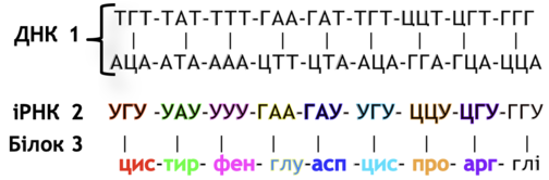 0201iwlt-35b4-504x166.png